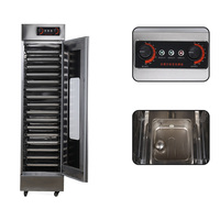 Équipement de boulangerie commercial, armoire de fermentation électrique pour pâte, œufs, sucre, blé, maïs, lait, 13 plateaux