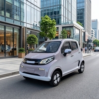 Nouvelle Voiture Électrique Mini 4 Places à Basse Vitesse, EV 5 Portes, Hayon Fermé, Cabine Fermée, Usage Domestique, 4 Roues, Autonomie 101-200km