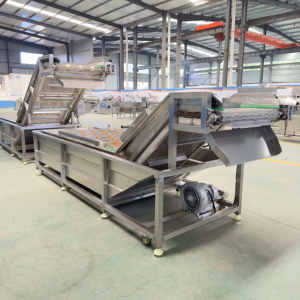 304 paslanmaz çelik otomatik meyve sebze tohum temizleme makinesi soğan karides kabarcık çamaşır makinesi - Product Image 3