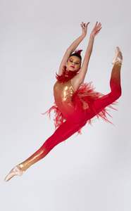 बच्चों महिलाओं आधुनिक नृत्य पोशाक जुम्पसूट पक्षी नृत्य पोशाक - Product Image 2