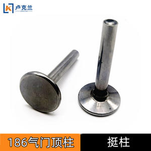 Pièces de moteur diesel refroidi par air Tingwei Top 186F188 : soupapes d'admission et d'échappement et tiges de soupape - Product Image 3