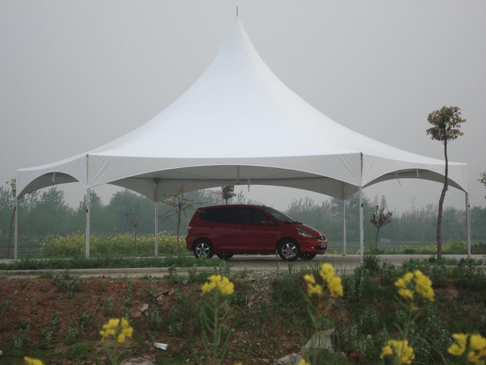 30*25 Promotion Événement PVC Tente Chapiteau Tente Auvent Extérieur