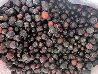 Groothandel Diepvries Zwarte Bessen 2026 Nieuwe Oogst IQF Zwarte Bessen Zonder Toegevoegde Suiker Bulkverpakking Fruit