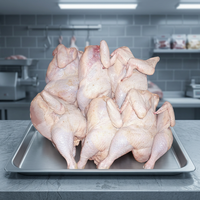 Poulet Halal Entier Congelé de Qualité Supérieure de Thaïlande, Grade A, 2,5 kg, Durée de Conservation de 18 Jours, en Boîte