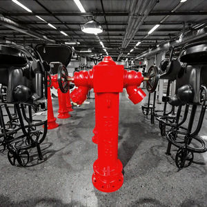 Hegeer Direct, hidrante de hierro fundido dúctil de alta calidad con brida, pilar de tierra para exteriores, hidrante de incendios DN100 DN150 personalizado - Product Image 3