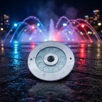 LED-Unterwasserbrunnenleuchte IP68 316 Edelstahl DC24V RGB Fernbedienung Wasserdichte Teichbeleuchtung für Pooldekoration