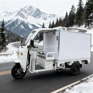 Tricycle électrique à trois roues alimenté à l'énergie solaire pour le transport d'aliments congelés et le stockage en chambre froide - Product Image 3