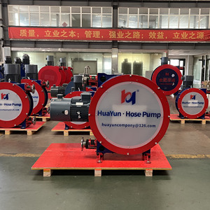 20+ Jahre Herstellererfahrung: Industrielle Schlauchpumpe, Peristaltische Quetschpumpe für Bergbau-Schlammtransfer - Product Image 6