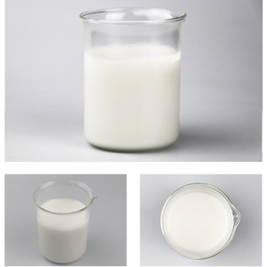 Bubuk Santan Kelapa Rendah Lemak, Halal Kosher, Kualitas Makanan, Grosir Pabrik dalam Karung 25kg - Product Image 3