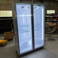 Kabinet pengawet minuman dan minuman keras dua pintu display minuman komersial dan bir kulkas bunga putih