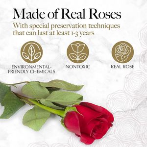 Shenyuan Scatola di Lusso a Forma di Cuore con Spugna e Rose Eterne Conservate, <span class=keywords><strong>Regalo</strong></span> per <span class=keywords><strong>Lei</strong></span>, Fiori Duraturi, Ricordo Romantico per Compleanno e <span class=keywords><strong>Anniversario</strong></span> - Product Image 2