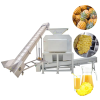 Automatische Geperste Limoensap-Extractor Koudgeperste Ananassap-Machine