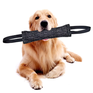 Juguete Masticable Interactivo de Poliéster Ecológico y Duradero ONESTEP para Perros, Entrenamiento Personalizado para Mascotas, Modelo 111 Hecho en China - Product Image 1