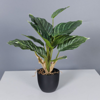 Plante artificielle Aglaonema variegata en pot, faux bonsaï vert pour la décoration intérieure du salon et du bureau