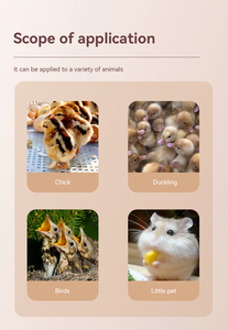 Éleveuse de Poussins et Couveuse Avicole à Prix Économique en Vente - Product Image 5