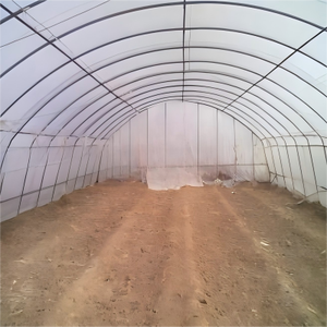 Invernadero de un Solo Tramo Tipo Túnel con Diseño Plegable, Adecuado para el Cultivo de <span class=keywords><strong>Remolacha</strong></span> de Temporada - Product Image 5