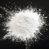 Polvo Nano de Óxido de Aluminio Gamma (Al2O3) Termoconductor Electrónico, 99.9% de Pureza, Polvo Blanco para Recubrimiento Cerámico