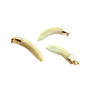 Commercio all'ingrosso PM16209 stile Vintage <span class=keywords><strong>lupo</strong></span> <span class=keywords><strong>ciondolo</strong></span> dente di <span class=keywords><strong>lupo</strong></span> <span class=keywords><strong>con</strong></span> placcato in oro placcato cappuccio denti osso <span class=keywords><strong>ciondolo</strong></span> per collana - Product Image 1