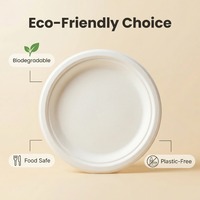 Assiettes jetables compostables et biodégradables de 10 pouces en bagasse de canne à sucre, écologiques et modernes, avec couvercle et plateau, pour la rentrée scolaire