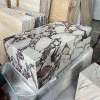 Calacatta Viola Design Moderne Maison en Marbre Table Basse Socle Rectangle Centre en Marbre Table Basse Ensemble pour Salon