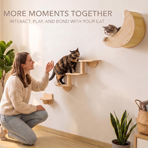 Estructura de Escalada para Gatos Montada en la Pared, Árbol para Gatos de Madera Resistente con Cinco Niveles, Escalera y Área de Descanso, Hecho en China, Empaquetado en Caja de Cartón - Product Image 2