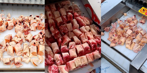 Máquina Cortadora de Orejas de Cerdo Congeladas de Nueva York, Máquina Automática para Cortar Pollo, Máquina para Cortar Carne en Cubos, Cortadora de Carne de Cabra, Máquina para Cortar Carne - Product Image 5