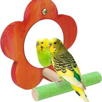 Mangeoire à oiseaux moderne en acier inoxydable et bois massif avec perchoir et récipients pour nourriture et eau