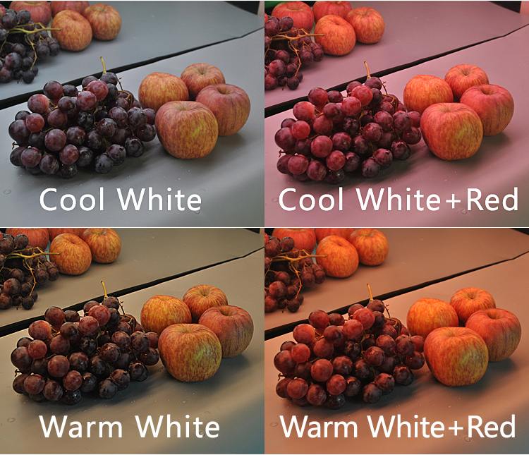 Hot Sales 5 Years Warranty SMD5050 LED Strip Light Fresh Light for Meat Vegetables Fruit Bread Sea Food