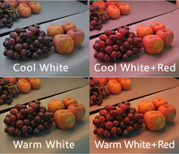 Hete Aanbiedingen 5 Jaar Garantie SMD5050 LED Stripverlichting Fris Licht voor Vlees Groenten Fruit Brood Zeevruchten