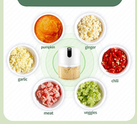 Hachoir à viande domestique multifonction pour gingembre, ail, riz et piment, agitateur mécanique, petite taille