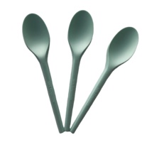 Cuillère à glace jetable en CPLA colorée, design personnalisé, cuillère à dessert biodégradable, couverts de fête, cuillère à café compostable