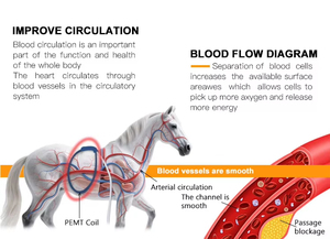 Máquina de Campo Electromagnético Pulsado (PEMF) Profesional de Alta Calidad para Clínicas Veterinarias, Mantenimiento de la Salud Equina, para <span class=keywords><strong>Caballos</strong></span> - Product Image 5