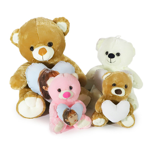 T-shirt con cuscino a cuore per regali compleanno di San Valentino stampabile con orsacchiotto di orsacchiotto colorato personalizzato per sublimazione in bianco - Product Image 1