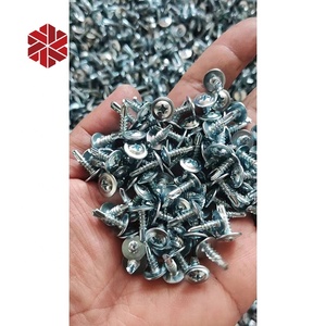 M2.5 아연 웨이퍼 육각 헤드 자체 드릴링 나사 - Product Image 1