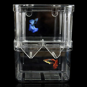 魚フライ孵化場用の環境に優しいプラスチック製の長方形の形をした水族館の魚の繁殖インキュベーター隔離ボックス - Product Image 2