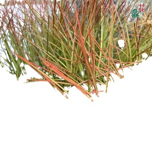 Cespita de Césped Artificial de 41 cm de Alto y 63 cm de Diámetro, Color Marrón, para Decoración de Exteriores - Product Image 3