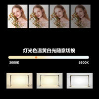 Lampe à ongles LED UV portable haute puissance 36W en alliage d'aluminium pliable Terresa L1, longueurs d'onde 365nm, lumière de durcissement de gel professionnelle pour salon