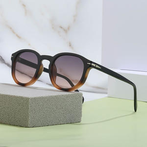 Lunettes de soleil rondes rétro élégantes unisexes, monture en PC UV400, verres TAC, couleur noire ZS-DB7050P - Product Image 1