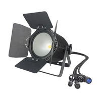 Projecteur LED COB 200W RGBW 4-en-1 IP65 étanche pour extérieur, éclairage de scène DMX512 pour mariage, concert, DJ, événements