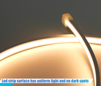 Bande LED COB IP67 CE RoHS UL 24V 12V 3000K 6500K 8mm Bande LED Flexible Extérieure Étanche
