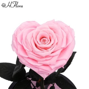 Petit Prince Préservé <span class=keywords><strong>Rose</strong></span> dans un Dôme en Verre Fleur Éternelle Coffret Cadeau pour la Saint-Valentin Fête des Mères Romantique Anniversaire Déco - Product Image 4