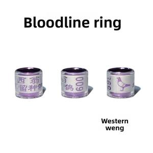 Anillo de Identificación para <span class=keywords><strong>Palomas</strong></span>, Aplicable en Múltiples Regiones, Anillo de Cría, Jaula para <span class=keywords><strong>Palomas</strong></span> de Carrera, Plástico Ecológico, Venta Caliente Transfronteriza - Product Image 2