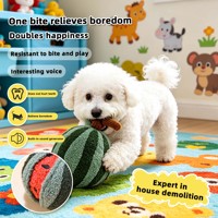 Fabrikant Kleine MOQ Op Maat Watermeloen Vormig Huisdier Pluche Speelgoed Zacht Bijtbestendig Hond Kat Interactief Fruit Gevuld Speelgoed
