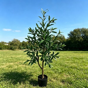 olive <b>tree</b> Artificial olive <b>tree</b>, artificial oil olive <b>tree</b>, bionic olive <b>tree</b>, artificial oil olive <b>potted</b> plant - Product Image 3