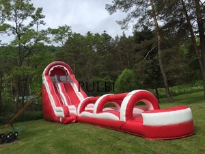 Gran <span class=keywords><strong>cascada</strong></span> de salto al aire libre <span class=keywords><strong>piscina</strong></span> inflable de un solo carril <span class=keywords><strong>y</strong></span> de doble carril, tobogán de agua seca <span class=keywords><strong>y</strong></span> húmeda, castillo hinchable Paraíso - Product Image 6