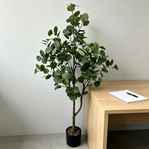 Ramas de eucalipto preservadas de aspecto aromático con hojas plateadas en forma de moneda para decoración de despedidas de soltera y baños de spa - Product Image 6