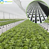 Système hydroponique UNIGREEN à canaux plats en PVC de grande taille, de qualité alimentaire, pour la culture de plantes en serre