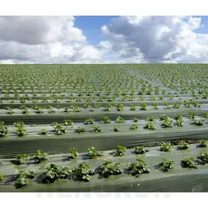 100% नई LDPE सामग्री पारदर्शी काले चांदी प्लास्टिक गीली घास फिल्म कृषि उपयोग के लिए