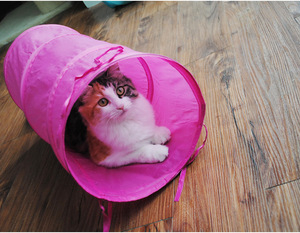 Jouet pour chat, tente pliable pour <span class=keywords><strong>passe</strong></span>-chat, Tunnel coloré en Polyester, Dragon au sol, avec boule pendante, livraison gratuite - Product Image 5