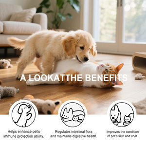 Poudre de champignons Kriath <span class=keywords><strong>pour</strong></span> chiens et chats, soutien immunitaire <span class=keywords><strong>pour</strong></span> animaux de compagnie, améliore l'immunité, bêta-glucanes, polyphénols, 150g - Product Image 3